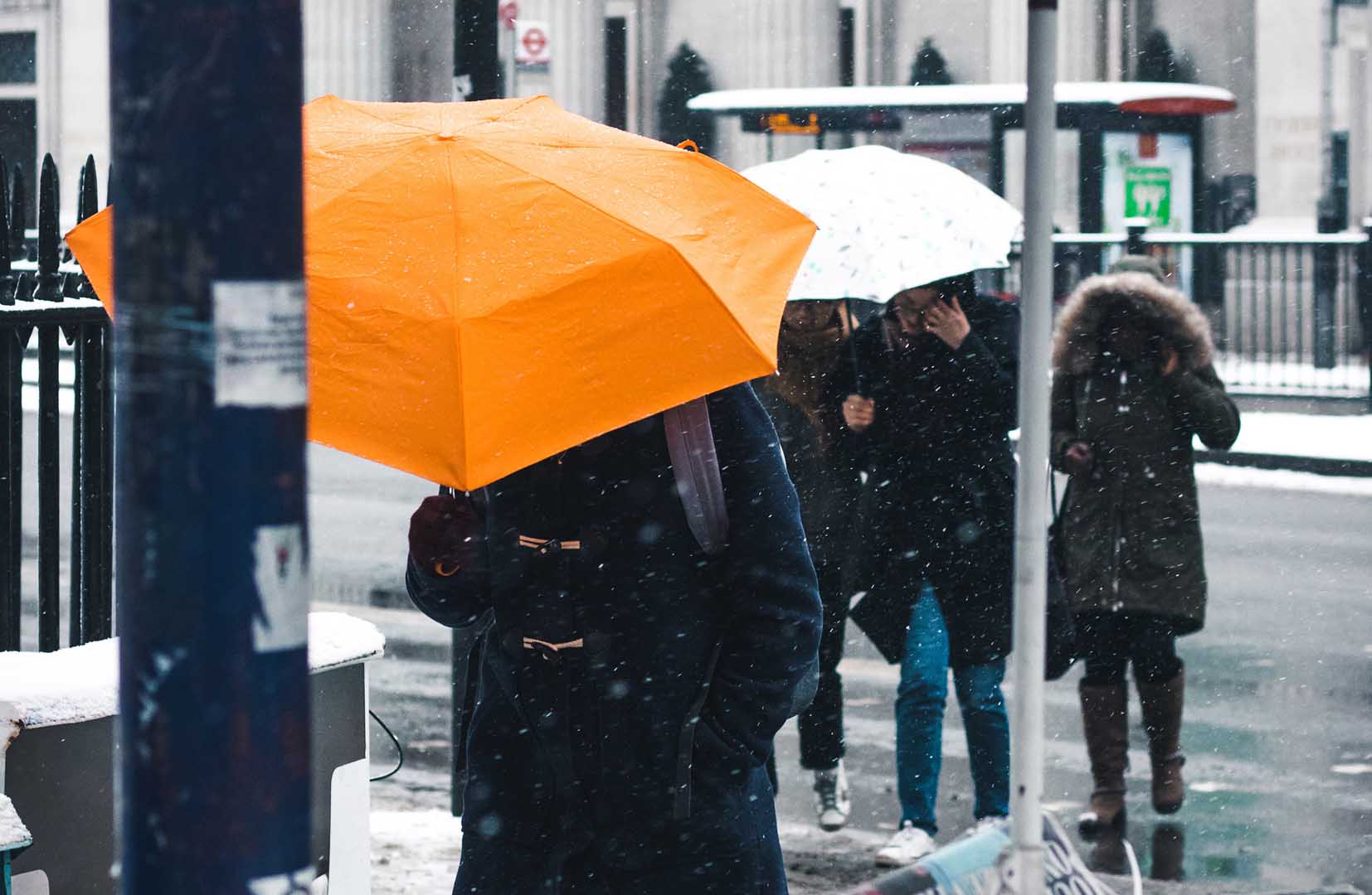 雨の中傘をさす人々